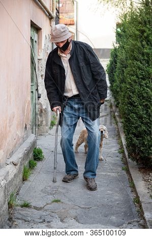Senior Man In Protective Mask With A Cane Walking With A Dog