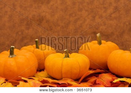 Cosecha de otoño