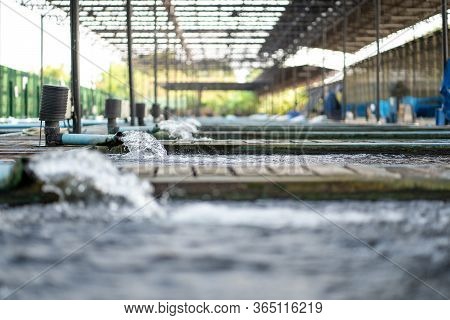 Water Flow Treatment System From The Water Pump Pipe.motion Of Water Gushing Out Of The Pipe From Ko