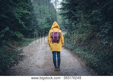 Woman in forest nature in vacation. Woman in nature. Green forest nature. Vacation in nature. Nature environment. Rainforest nature. Adventure in nature. Nature environment, branches and trees. Travel in nature. nature