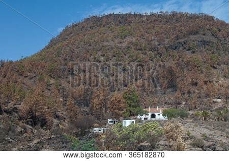 Forest House And Ojeda Mountain In The Integral Natural Reserve Of Inagua.