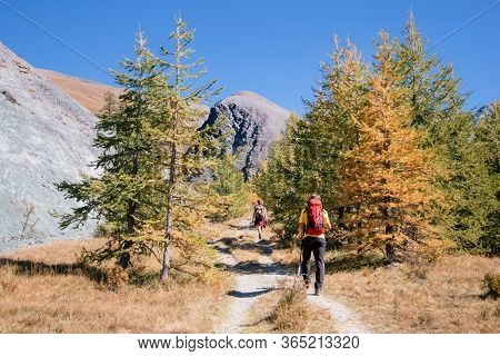 Aduld Men With Backpacks Hiking In Mountains In Autumn Season. Wanderlust And Travel Concept. Group 