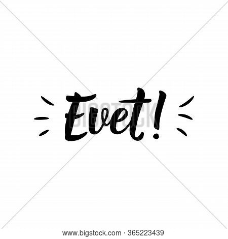 Evet. Lettering. Translation From Turkish - Yes. Modern Vector Brush Calligraphy. Ink Illustration