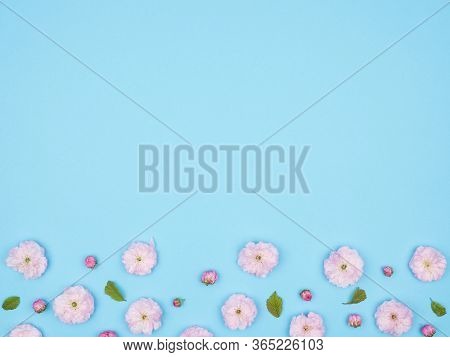 Buds, Flowers, Petals And Leaves On A Blue Background. Almond Decorative.