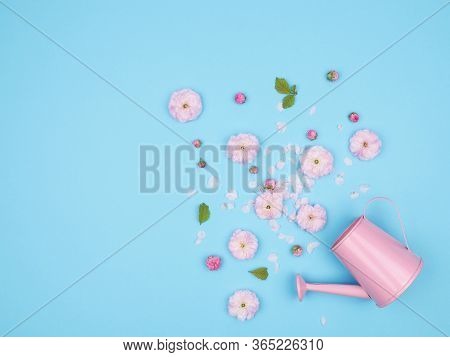 Spring Pink Flowers On A Blue Background. Watering Can.the Almond Blossoms. The View From The Top. S