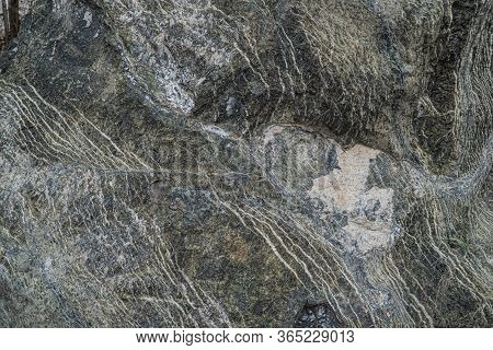 Serpentinite With Chrysotile Asbestos Ore Texture Close-up. Contains Serpentine, Chrysotile Asbestos
