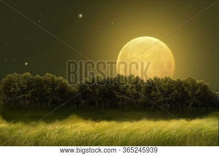 Fantastic Night Landscape Of A Field With Trees On The Horizon Illuminated By A Large Full Moon. Pho