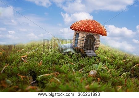 Fantastic Childrens Story About A Grape Snail