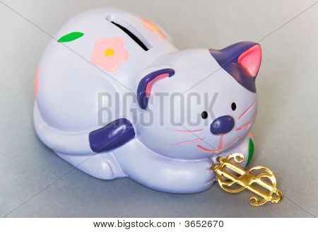 แมว - Moneybox กับดอลลาร์