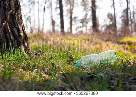 Plastic Bottle Lies On The Grass Under A Tree In The Forest In The Rays Of Sunlight Close-up. Enviro