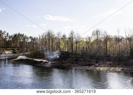 Ukranian Landscape In The Forest. Pine Forest With A River Name Psel In City Sumy. Pine Trees On A R