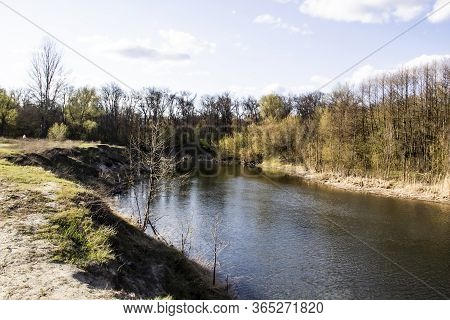 Ukranian Landscape In The Forest. Pine Forest With A River Name Psel In City Sumy. Pine Trees On A R