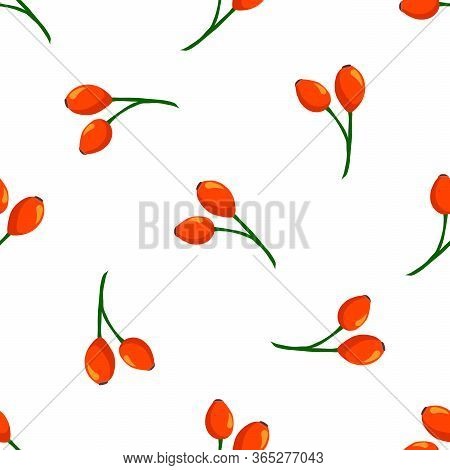Illustration On Theme Big Colored Seamless Rose Hip, Bright Berry Pattern For Seal. Berry Pattern Co