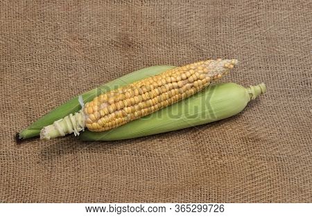 Corn Or Maize On Burlap Fabric Background With Selective Focus