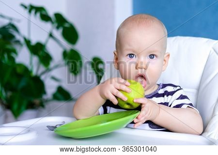 Baby Food. Little Surprised Cutest Caucasian Child Eating Green Apple Healthy Food. Looking At Camer