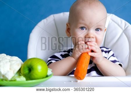 Baby Food. Little Cutest Caucasian Child Eating Carrot And Green Apple Healthy Food. Looking At Came