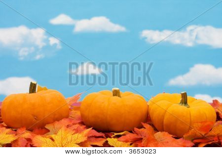 Cosecha de otoño
