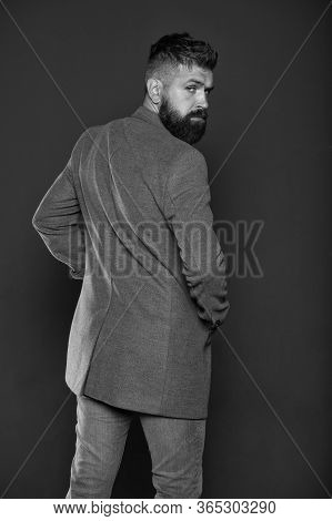 Smart And Versatile. Hipster Grey Background. Bearded Man In Trendy Hipster Style. Busnessman With H