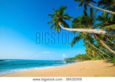 ริมชายหาดขาวละเอียดในศรีลังกา