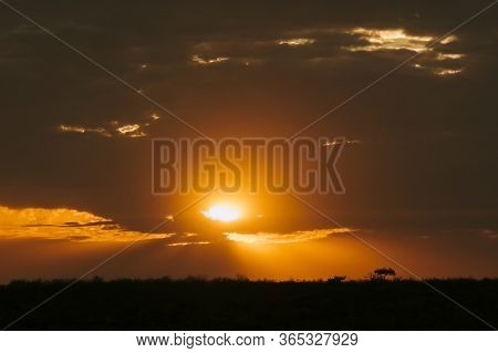 God Rays Of Sunlight Shine Down On A Lone Acacia Tree In The Distance. Grootberg Plateau, Namibia, A