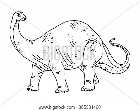 Stylized Herbivore Dinosaur Coloring Page Diplodocus On An Isolated White Background. Anitstress And
