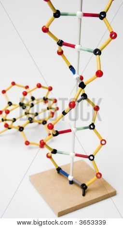分子構造