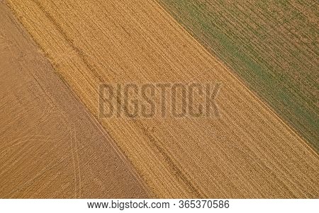 Aerial Shot Of Endless Fields Near Beli Manastir In Slavonia, Croatia