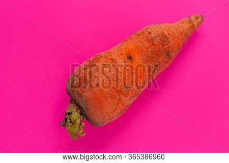 Ugly Food. Deformed Organic Carrots On The Pastel Pink Background. Bright Colors. Misshapen Produce,
