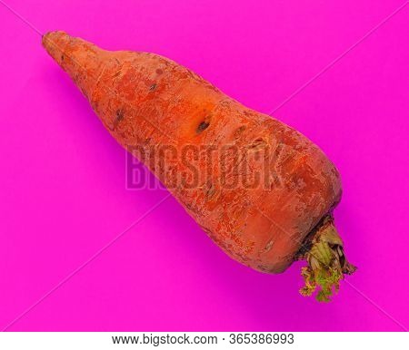 Ugly Food. Deformed Organic Carrots On The Pastel Pink Background. Bright Colors. Misshapen Produce,