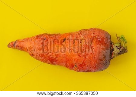 Ugly Food. Deformed Organic Carrots On The Pastel Yellow Background. Bright Colors. Misshapen Produc