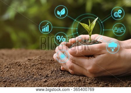 Modern Technology In Agriculture. Woman With Green Seedling And Icons