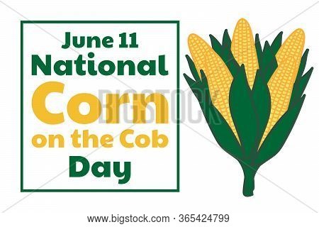 National Corn On The Cob Day. June 11. Holiday Concept. Template For Background, Banner, Card, Poste
