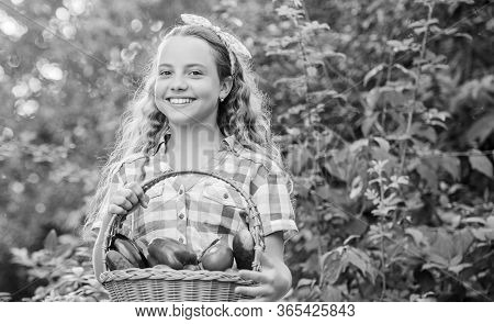Some Food. Harvest Vitamin. Spring Market Garden. Healthy Food For Children. Happy Little Farmer. Au