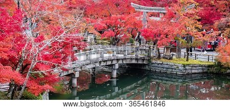 Scenery Stone Bridge And Pond With Colorful Leaves In Eikando Temple, Beautiful Nature Garden In Aut