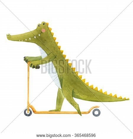 Beautiful Vector Stock Illustration With Cute Watercolor Crocodile On Scooter. Baby Alligator Hand D