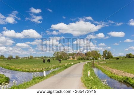 Narrow Country Road Leading To The Small Village Of Dorkwerd Near Groningen, Netherlands