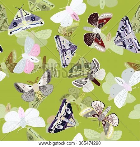 White Moths On A Light Blue Background. Seamless Vector Pattern With Insects. Repeating Square Patte