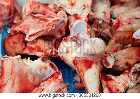 Waste After Cutting Meat In The Butcher Shop. Cheap Products For Dogs And Animals. The Bone And Cart