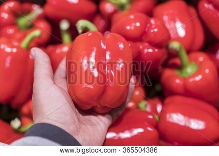 A Man Chooses Red Bell Peppers In A Grocery Store, At The Market. Hand Take The Pepper From A Vegeta