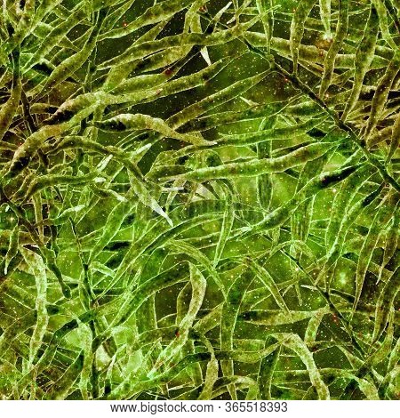 Exotic Seamless Pattern. Fashion Hand Drawn Texture. Green Cosmic Background. Exotic Seamless Patter