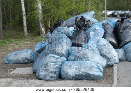 Cleaning The Forest. Bags Of Collected Garbage Are In A Pile Near The Forest And Ready For Export