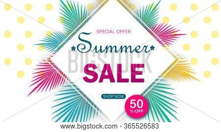 Summer sale background with palm. Vector background for banner, poster, flyer, card, postcard, cover brochure Summer sale banner modern design with flamingo and tropical leaves background. Tropical summer background and summer backdrop. Summer Promo badge