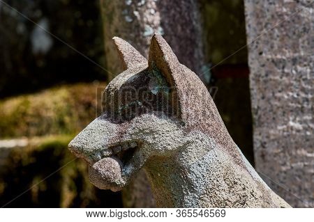 Statue Of A Kitsune, Japanese Shinto Red Fox God, In Fushimi Inari Shinto Shrine In Kyoto, Japan