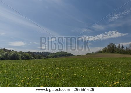View For Meadows And Pasture Land Near Vigantice Village