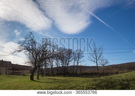 Trees In The Late Winter/early Spring, Still Without Leaves. Green Grass. Buildings And A Mountain I