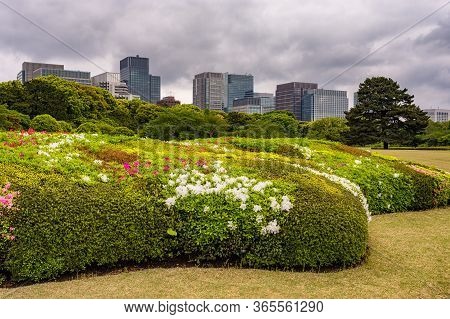 Imperial Palace East Gardens In Tokyo, Japan, With Tokyo Skyscrapers In The Background