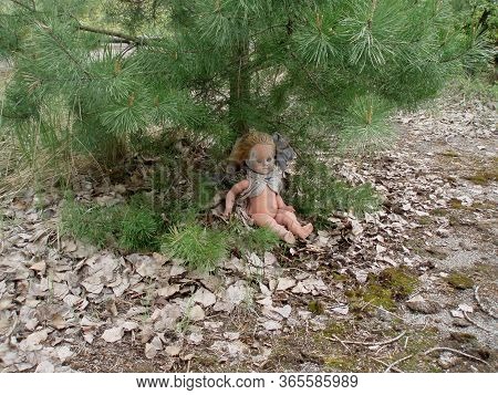 Creepy Doll Under A Tree In Pripyat, Chernobyl Region, Ukraine On A Summer Day.