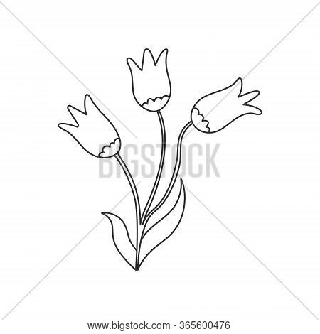Vector Illustration Of A Flower. Stock Illustration Isolated On A White Background Linear Design For