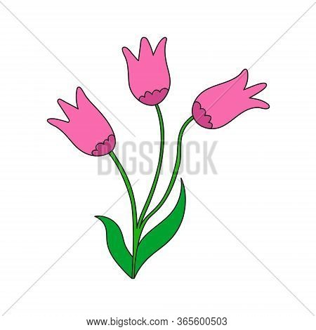 Vector Color Illustration Of A Flower. Stock Illustration Isolated On A White Background Filled In S
