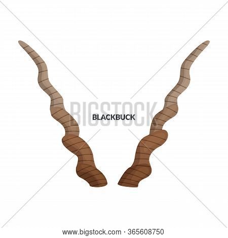 Horn Blackbuck Vector Icon.cartoon Vector Icon Isolated On White Background Horn Blackbuck.